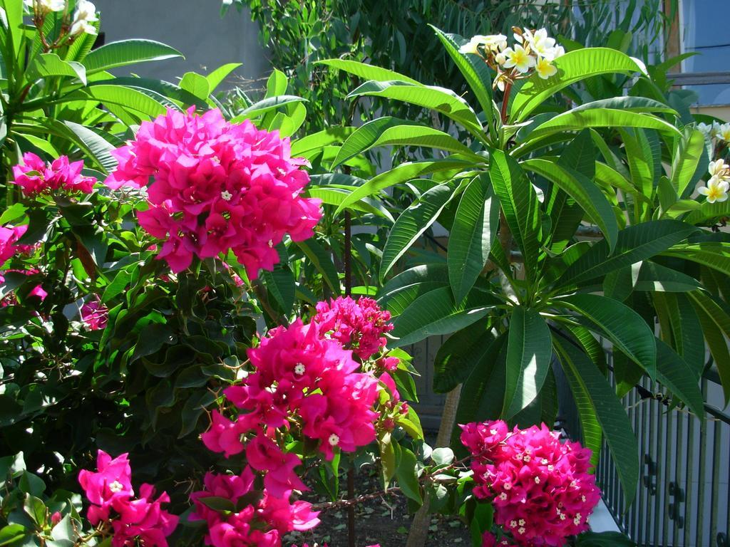 Callista Sea View Or Garden Kíssamos Habitación foto